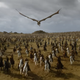 Image: HBO